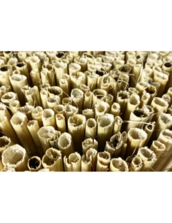 ARELLA PRIVACY Premium © in bamboo CANNICCIO arelle CANNE diametro fino a 1 cm. per RECINZIONE ombra in 8 MISURE