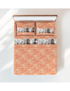 Completo Lenzuola Gattini Salmone - Stampa Dolce e Realistica - 100% Cotone - Made in Italy, Lavabile