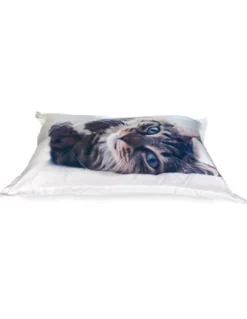 COPRIPIUMINO Rasatello HD FOTOGRAFICO GATTO sdraiato FELIX