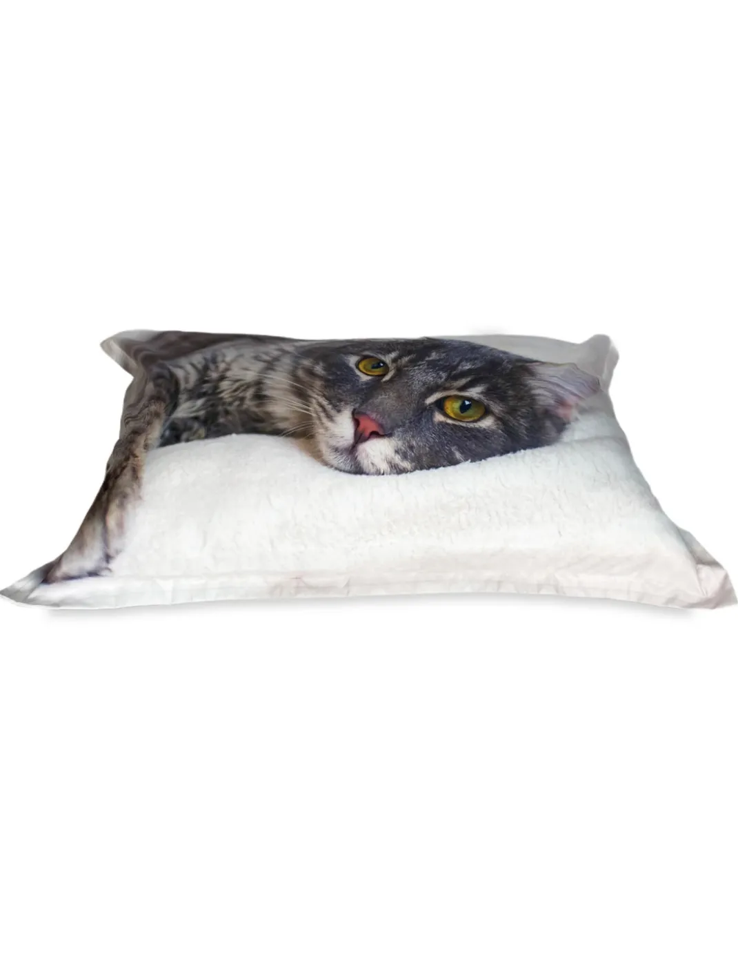 COPRIPIUMINO Rasatello HD FOTOGRAFICO GATTO sdraiato