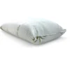 Cuscino Letto Aloe Vera con Federa Anallergica, Antibatterico, Antiacaro, Imbottitura in Fibre e Cotone, 42x72cm, Spessore 20cm
