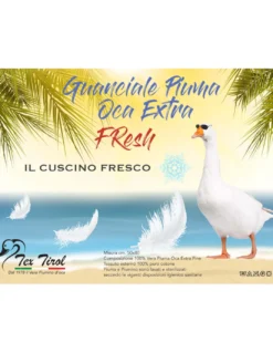 GUANCIALE Cuscino in PIUMA OCA Estivo FRESH Sempre fresco Tex Tirol ©