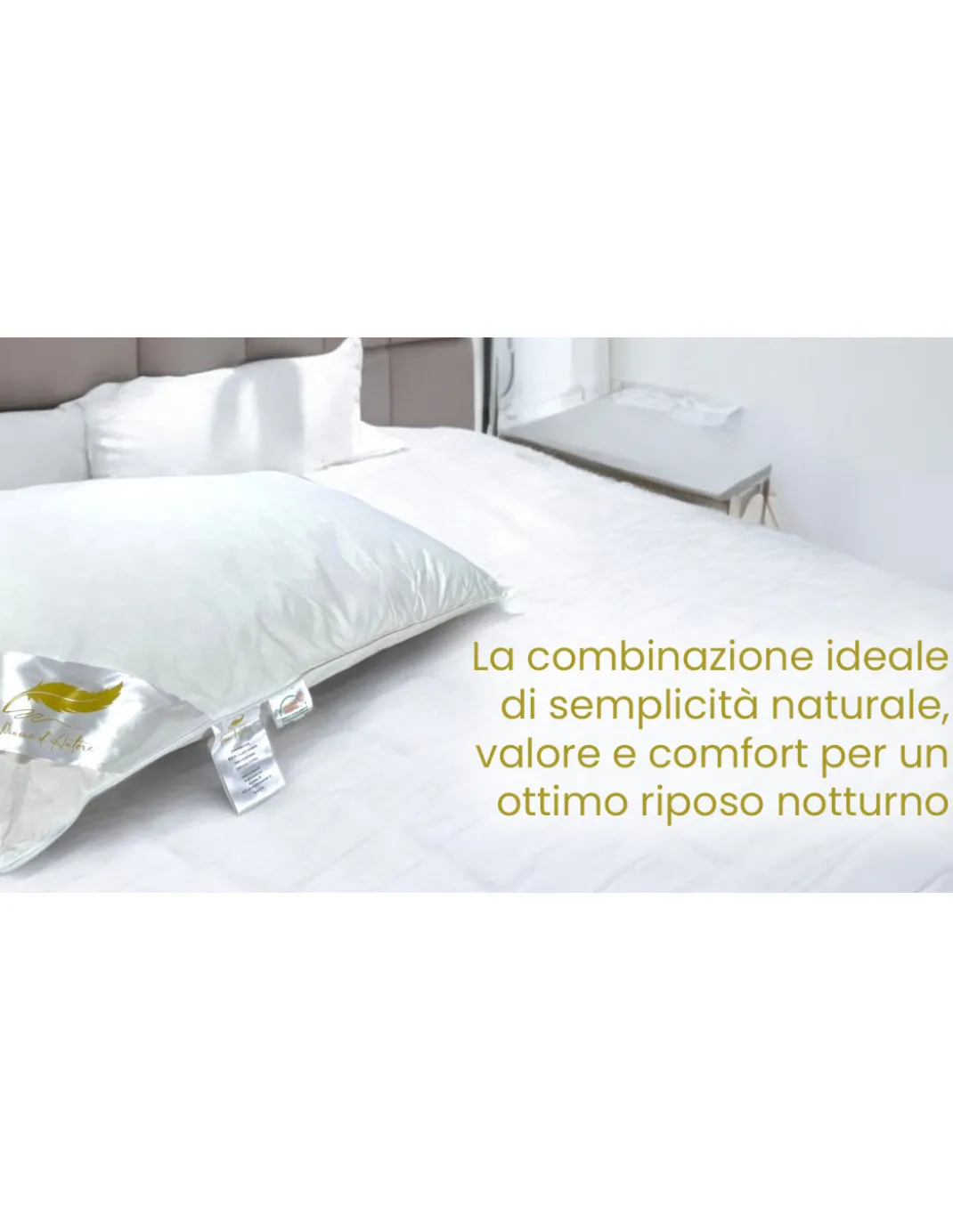 Guanciali Piume d'Autore, Set di 2 Cuscini Letto Matrimoniale Piuma d'Oca 50x80 cm, 1100g, Morbidi, Ipoallergenici e Ergonomici