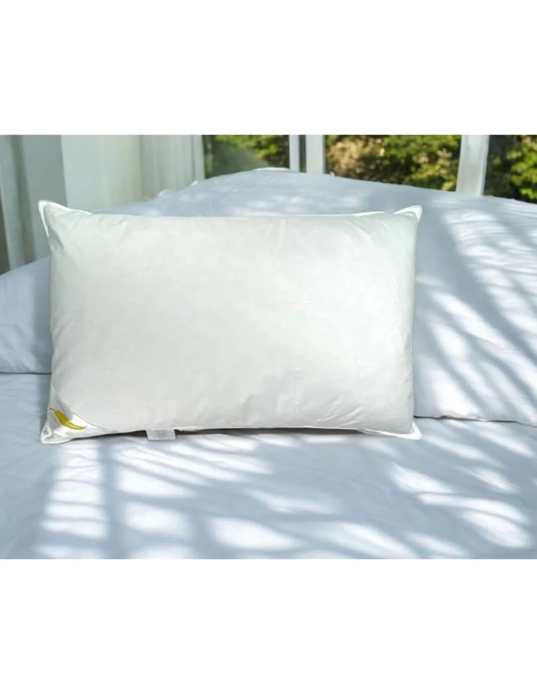 Guanciali Piume d'Autore, Set di 2 Cuscini Letto Matrimoniale Piuma d'Oca 50x80 cm, 1100g, Morbidi, Ipoallergenici e Ergonomici
