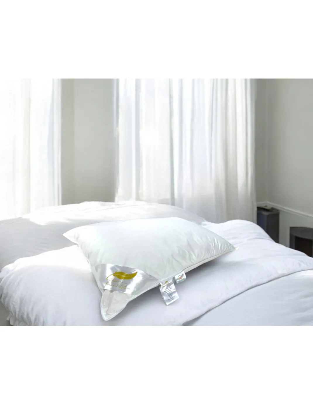 Guanciali Piume d'Autore, Set di 2 Cuscini Letto Matrimoniale Piuma d'Oca 50x80 cm, 1100g, Morbidi, Ipoallergenici e Ergonomici