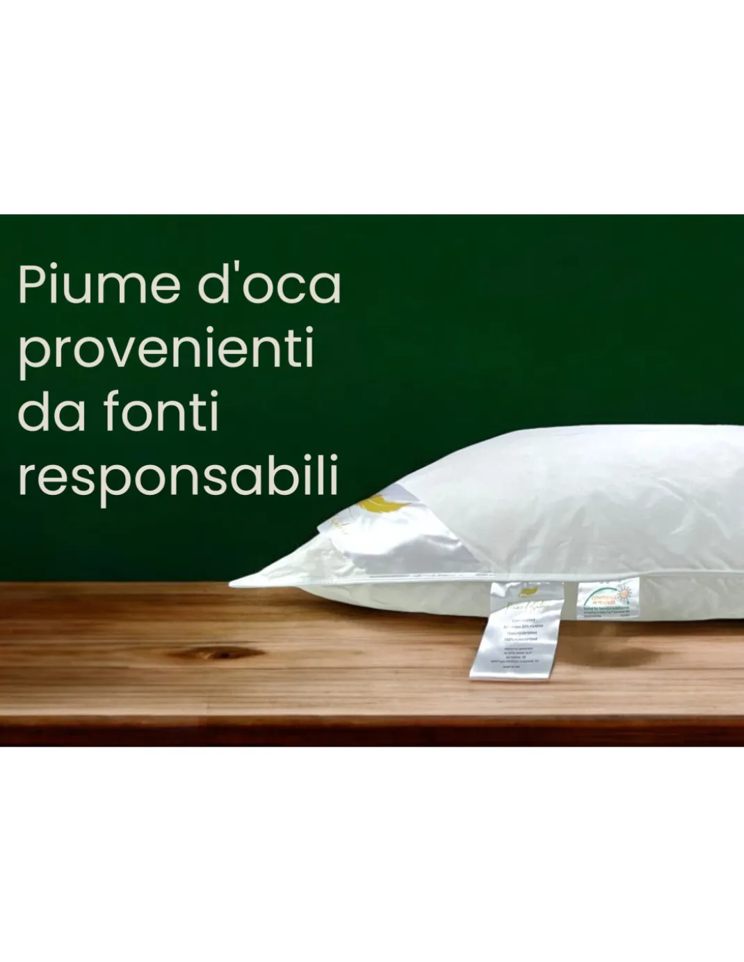 Guanciali Piume d'Autore, Set di 2 Cuscini Letto Matrimoniale Piuma d'Oca 50x80 cm, 1100g, Morbidi, Ipoallergenici e Ergonomici