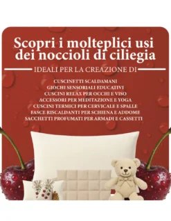 Noccioli di Ciliegia Naturali Lavati e Sterilizzati - Ideali per Cuscini Termici, Relax e Artigianato Made in Italy