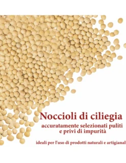Noccioli di Ciliegia Naturali Lavati e Sterilizzati - Ideali per Cuscini Termici, Relax e Artigianato Made in Italy