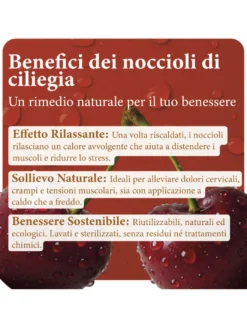Noccioli di Ciliegia Naturali Lavati e Sterilizzati - Ideali per Cuscini Termici, Relax e Artigianato Made in Italy