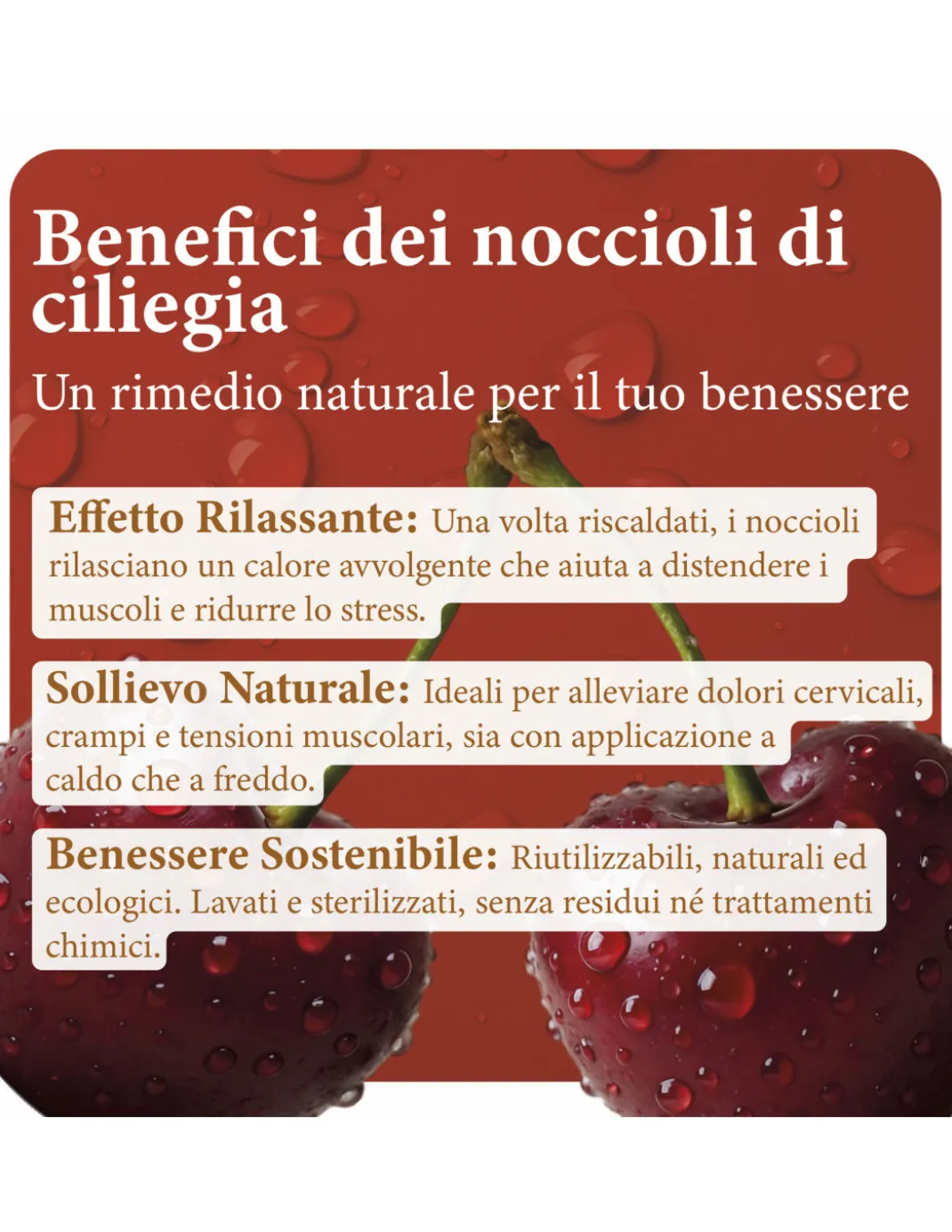 Noccioli di Ciliegia Naturali Lavati e Sterilizzati - Ideali per Cuscini Termici, Relax e Artigianato Made in Italy