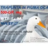 Piumone Matrimoniale Invernale Stream 500 gr - Piumino 80% Piuma 20% Piumino - Fantasia Floreale Beige