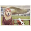 PLAID coperta IN PILE SHERPA fantasy HD CANE labrador AVIATORE