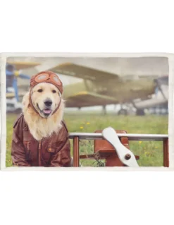 PLAID coperta IN PILE SHERPA fantasy HD CANE labrador AVIATORE