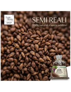 Semi di Uva Sciolti per Cuscini Riscaldanti - Riempimento Naturale per Terapie Caldo e Freddo, Ecologico e Sicuro