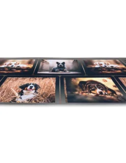 TAPPETO Runner da CUCINA Passatoia Antiscivolo CANE Cani Made in Italy