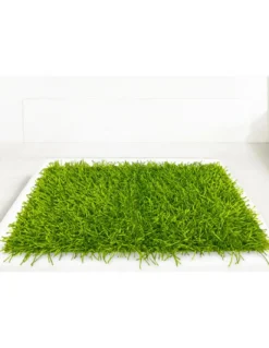 Tappeto Shaggy Verde Moderno - Pelo Lungo 6 cm - Antiscivolo, 12 Misure - Annodato a Mano, Morbido e Resistente