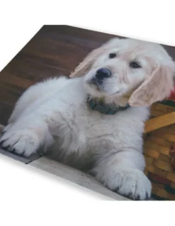 TAPPETO ZERBINO DIGITAL CM.40X60 CANE CUCCIOLO LABRADOR