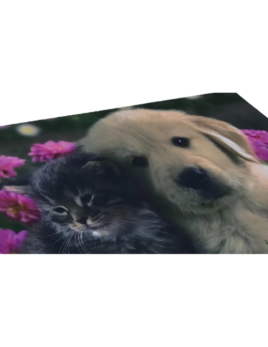 TAPPETO ZERBINO DIGITAL FRIENDS CM.40X60 CANE GATTO FIORE