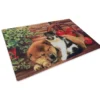 TAPPETO ZERBINO DIGITAL FRIENDS CM.40X60 CANE GATTO CESTO