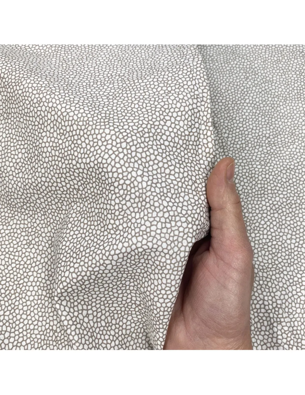 TELO Arredo COPRITUTTO Gran FOULARD Copriletto COPRIDIVANO Tessuto BOY Beige