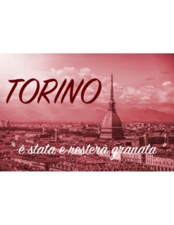 TELO MARE SPORT FORZA TORO misura grande cm. 90 X 170 e cartolina TORINO È STATA e resterà GRANATA