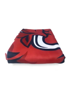 TELO MARE SPORT FORZA TORO misura grande cm. 90 X 170 e cartolina TORINO È STATA e resterà GRANATA