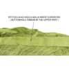 TENDA a FILI Vivienne per porta CM. 150X300 tinta unita VERDE