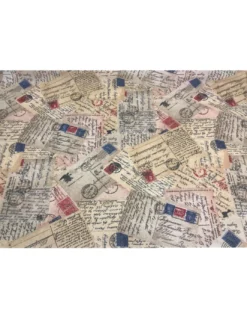 TOVAGLIA ANTIMACCHIA RESINATA TORINO CARTA POSTALE